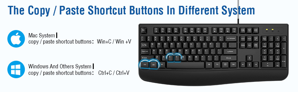 The Copy/Paste Shortcut Buttons In Different System