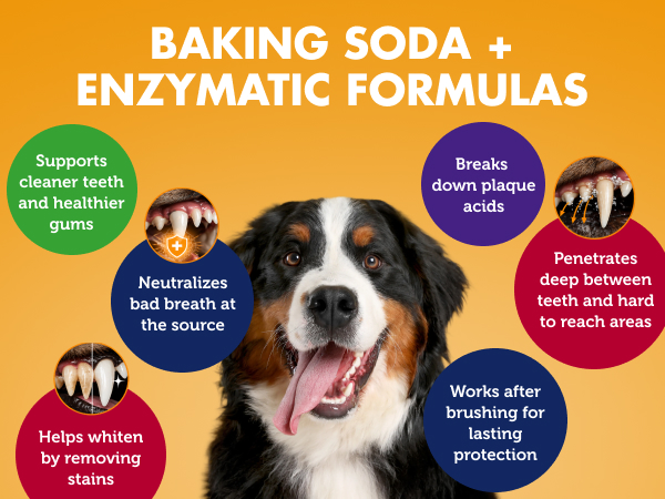 Baking soda + Enzymatic Formulas