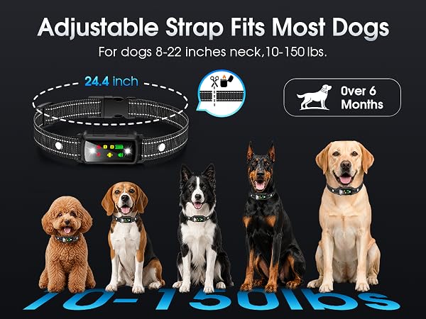 Dog Shock Collar 2 Dogs, training collar with remote