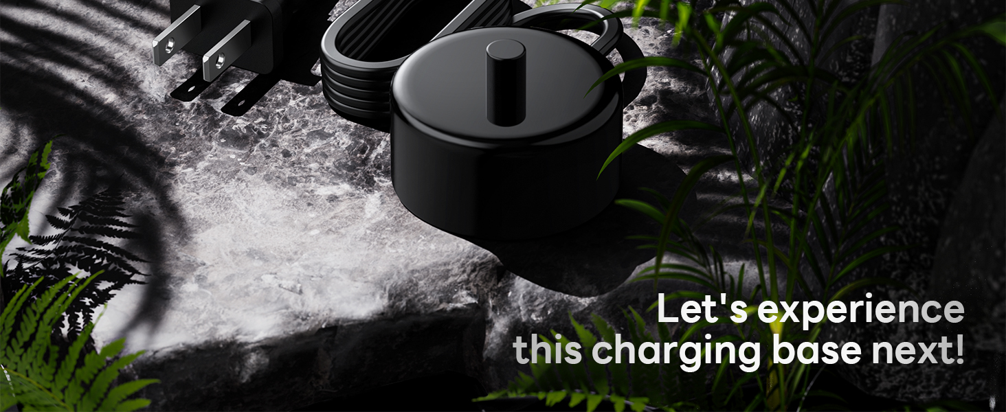 Aqua Sonic charger