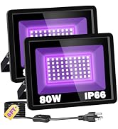 PIZHLO 80W Black Light IP66 Waterproof Outdoor Flood Light with 6ft Cord+Plug+Switch, Blacklight ...