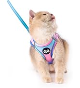 blue pink cat harness