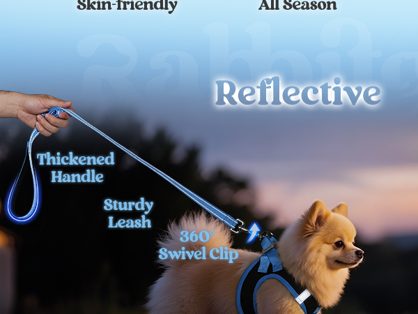  rabbitgoo Dog Harness