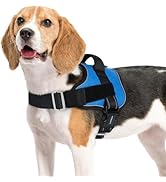 rabbitgoo Dog Harness Medium Sized, Easy On Pet Vest with One Buckle, No Pull Adjustable Service ...