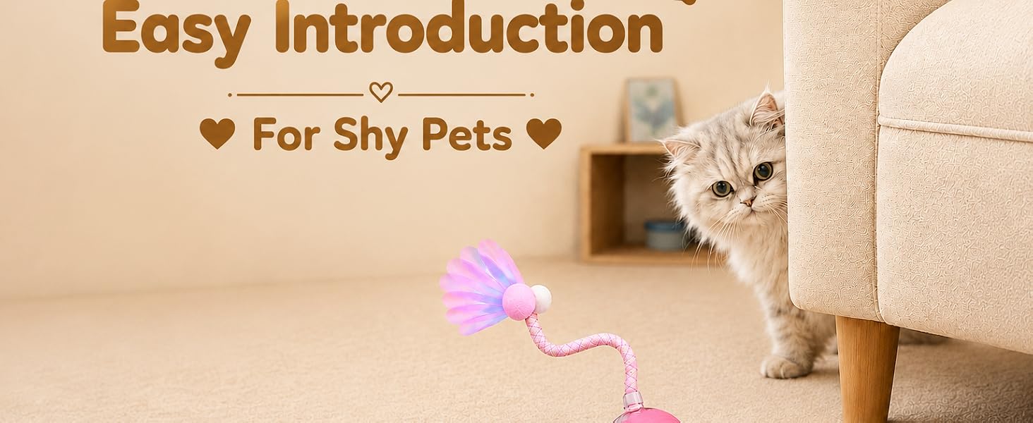 Easy Introduction for shy pets , cats , puppies