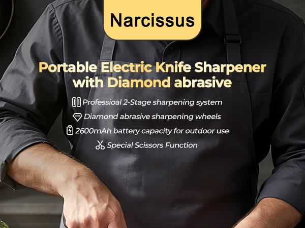 electric knife sharpener