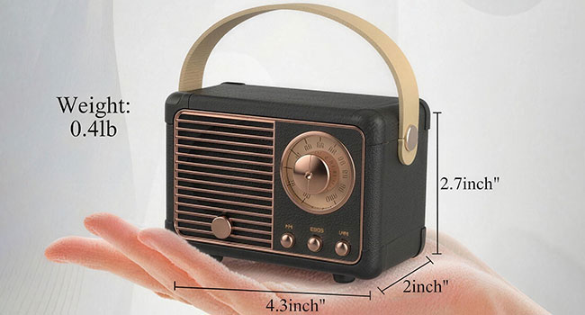 Mini Size But Surprisingly Loud Volume