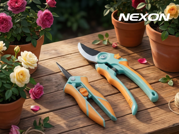 nexon