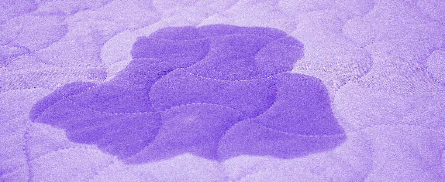 2 Pack Black Light Flashlights with 12 LED and 395 nm Black Light for Pet Urine Stains Detecting