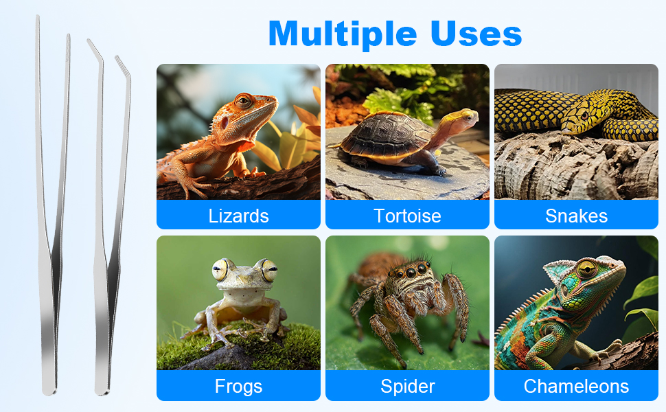 Multiple Uses
