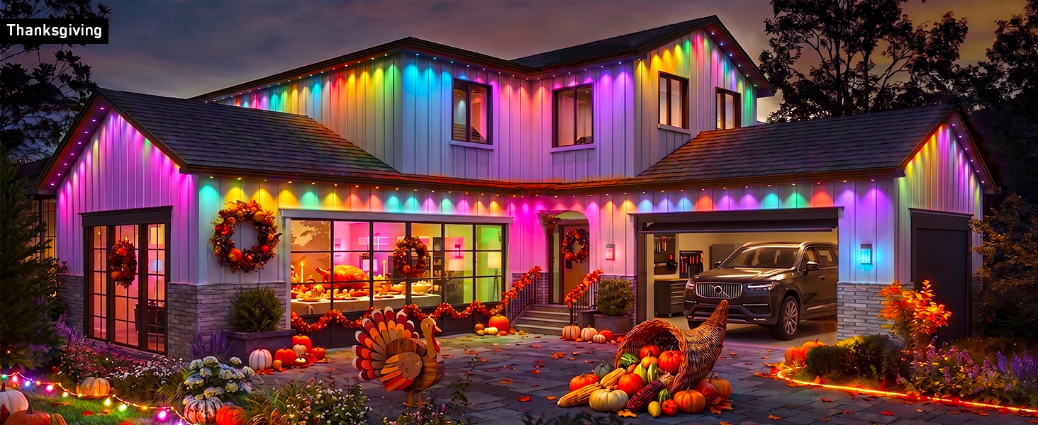 Permanent Outdoor Lights