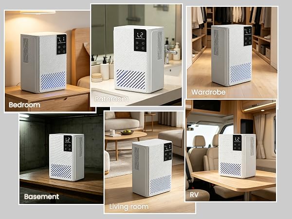 dehumidifiers for home