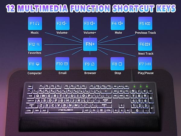 12 Multimedia Shortcut Keys