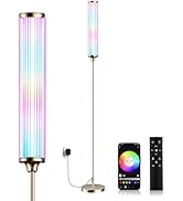 FRIDEKO HOME Floor Lamp, Smart RGBCW LED Color Changing Ambient Lighting for Living Room &amp; Gaming...