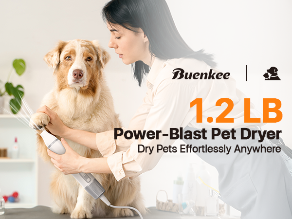 dog pet dryer