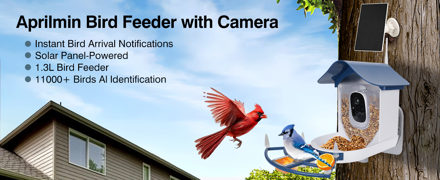 Bird Feeder with Camera