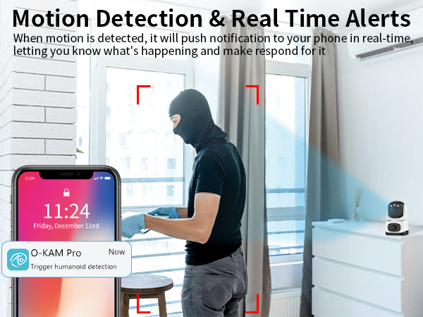 indoor camera with phone app and audio