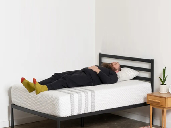 gooeb back sleeper pillow