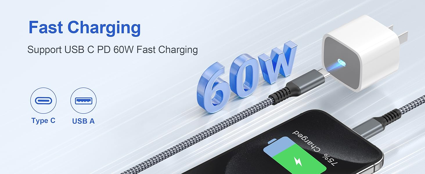 Fast Charging