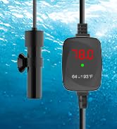 mini aquarium heater