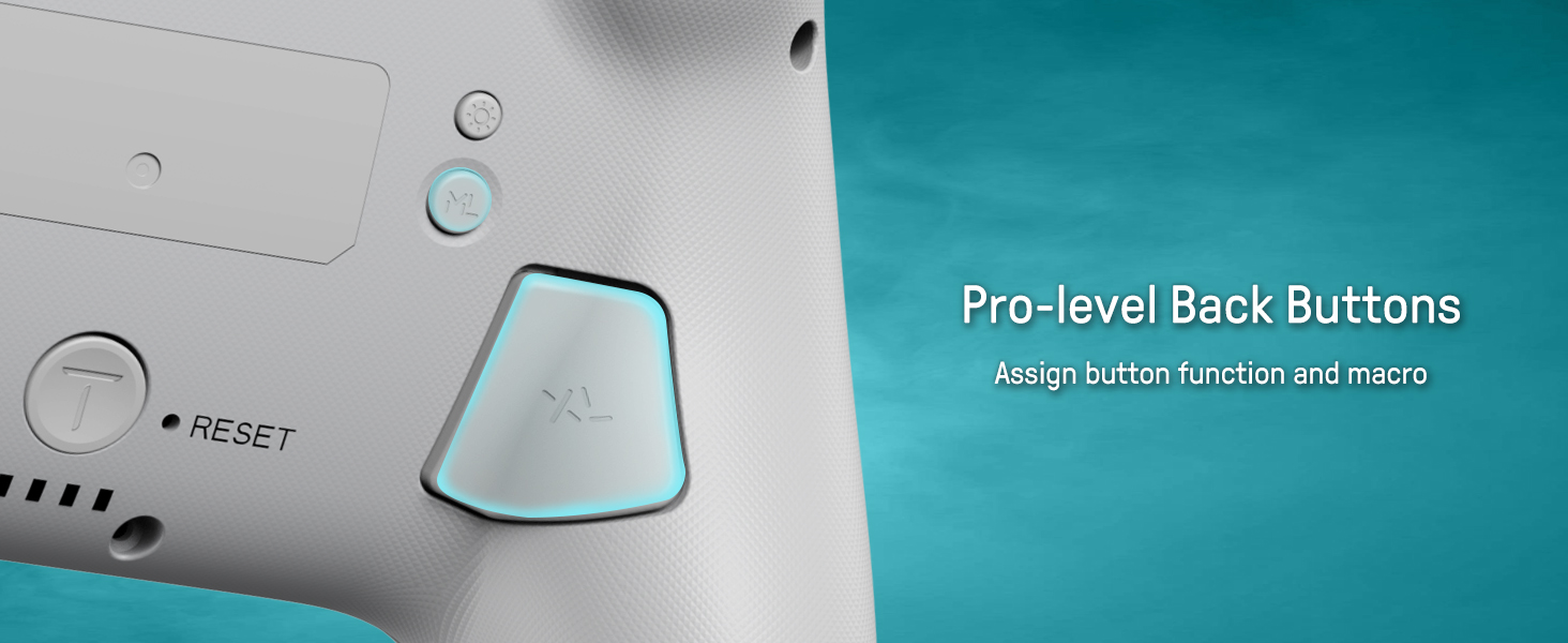 switch pro controller