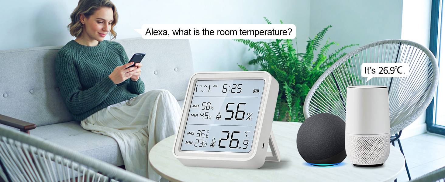 wireless temperature monitor