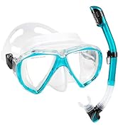 Adult Snorkel Set, Professional Snorkeling Gear Panoramic Anti-Fog Diving Goggles and Dry Snorkel...