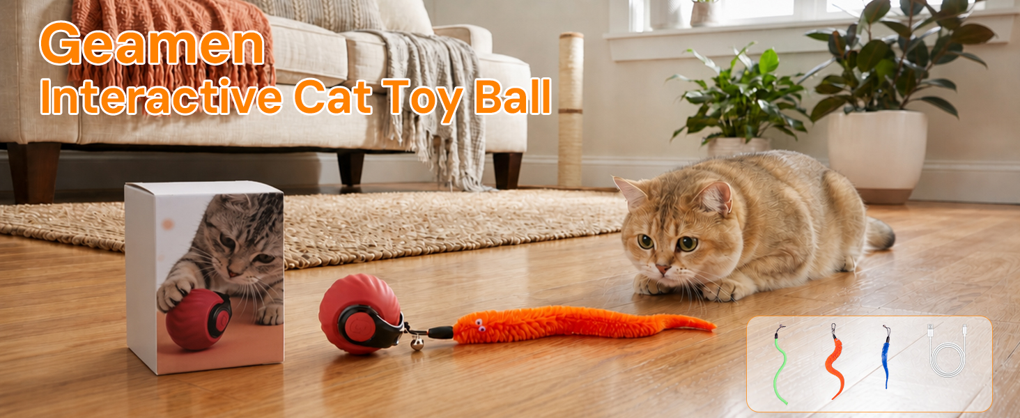 toys for cats indoor