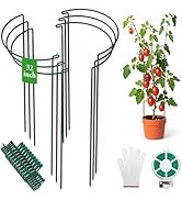 Unves 6 Pack Peony Cage, 13" W x 32" H Half Round Ring Metal Plant Support Stakes, Heavy Duty Peo...