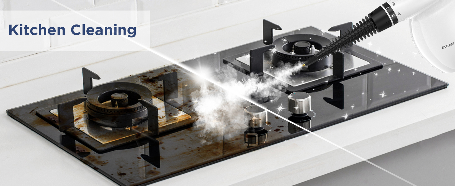 steam cleaner labigo