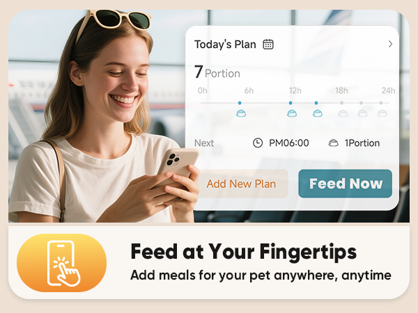timed cat feeders for dry food