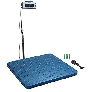 Scale