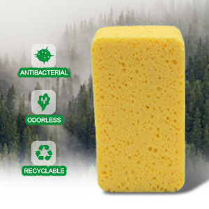 Plant-based Cleaning Tool