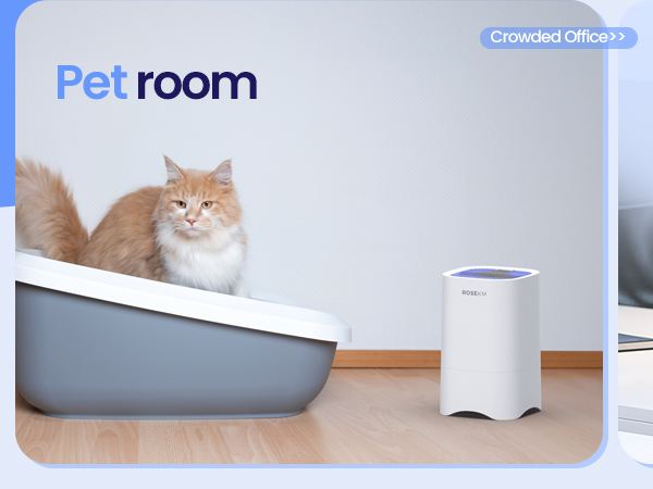 air purifier for pet room