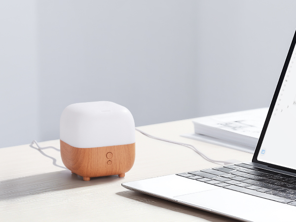 mini diffuser