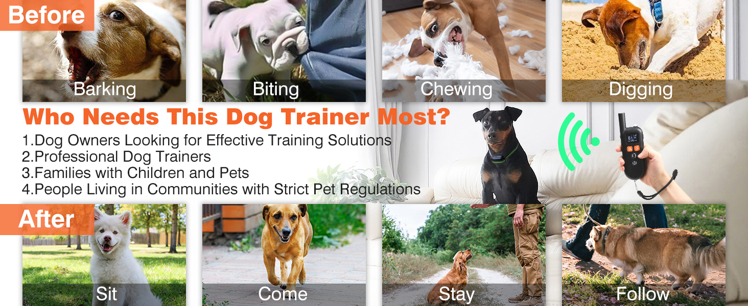 dog collars for medium dogs 3 pack
