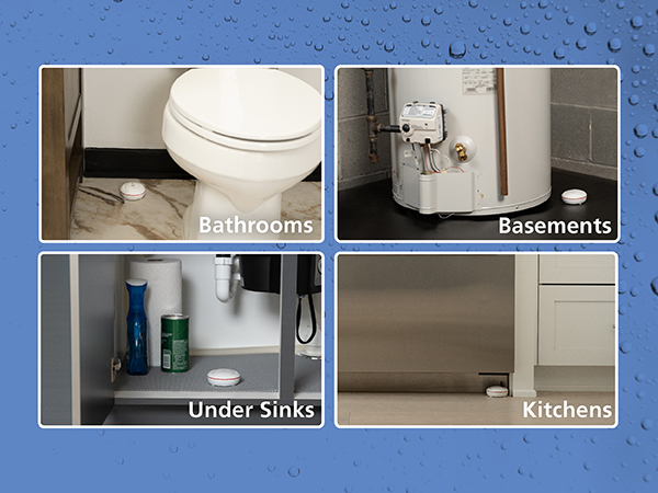 Kidde Safety Monitoring