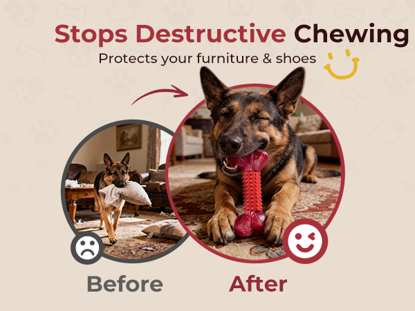 bones for aggressive chewers