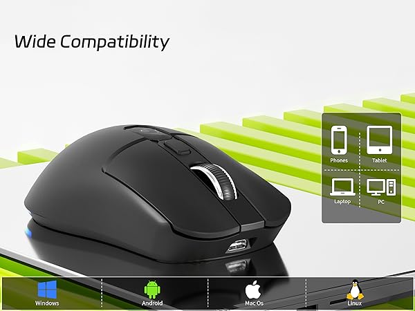 mouse