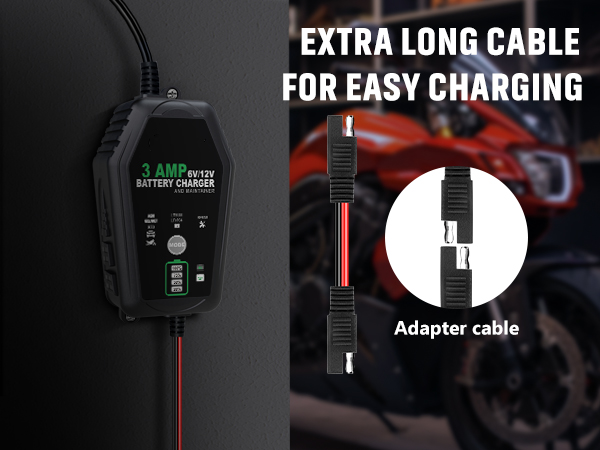 lifepo4 battery charger