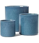 LE TAUCI Ceramic Plant Pots Indoor, 10+8+6 Inch Planters for Indoor Plants, Mid-Century Modern Fl...