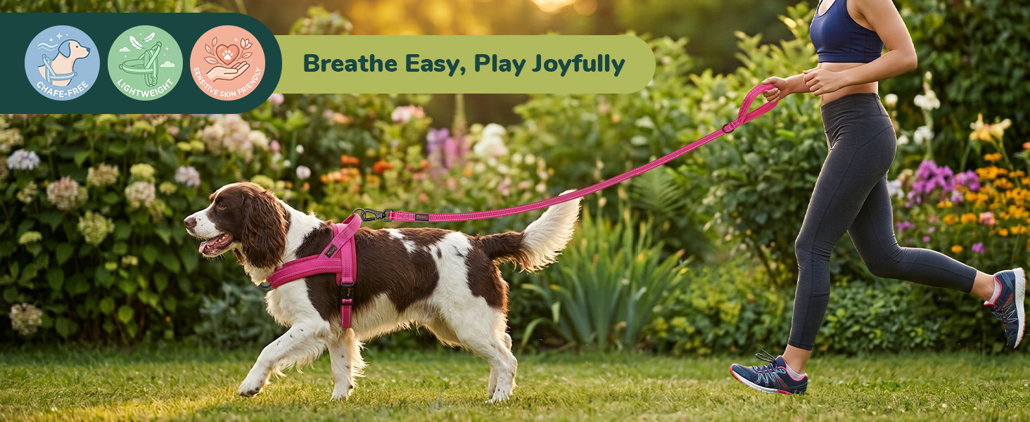 Breathable Mesh Dog Harness for Walking