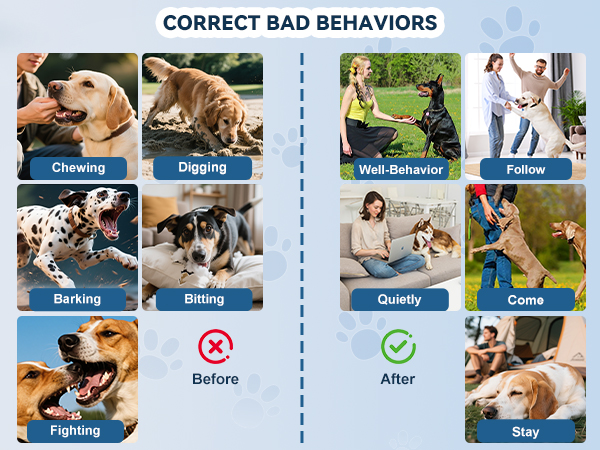 dog barking deterrent devices