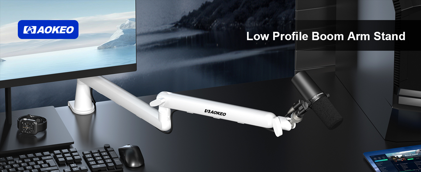 microphone arm