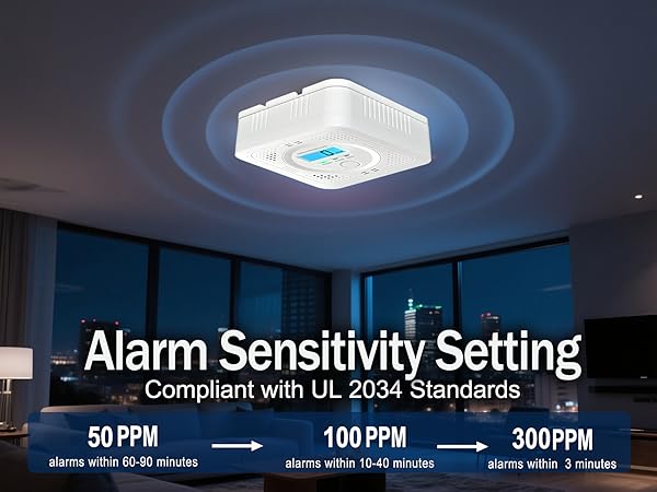 carbon monoxide detector