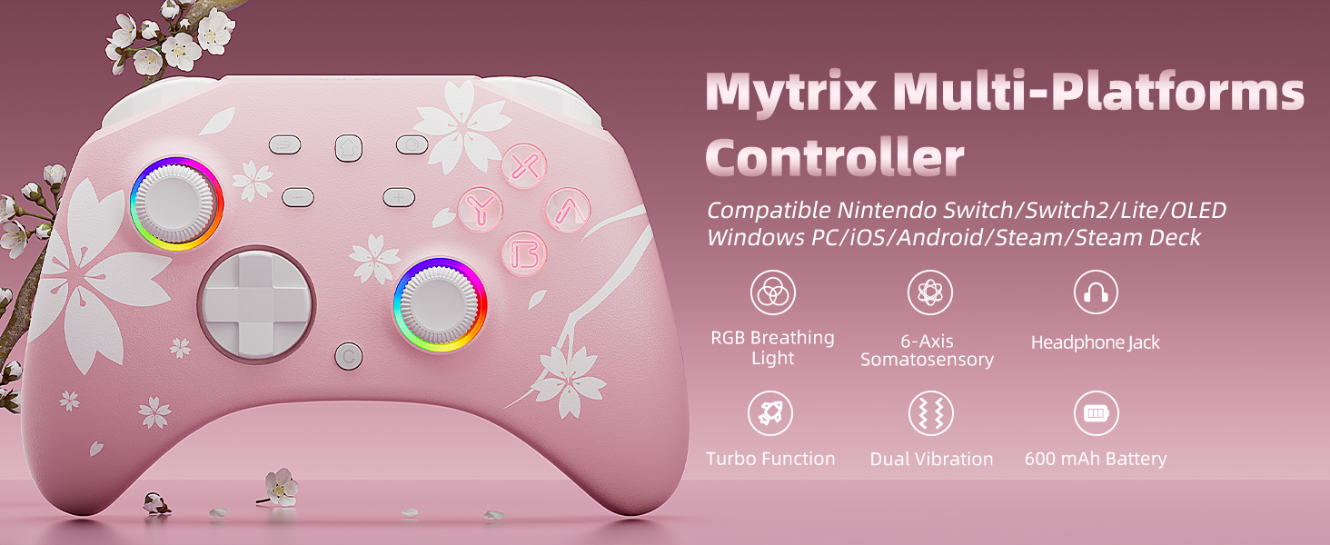 pink controller