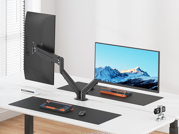 dual monitor stand
