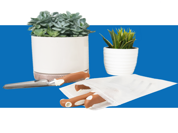 Gardening tools are tucked into a clear bag misted with water droplets, laying near two houseplants.