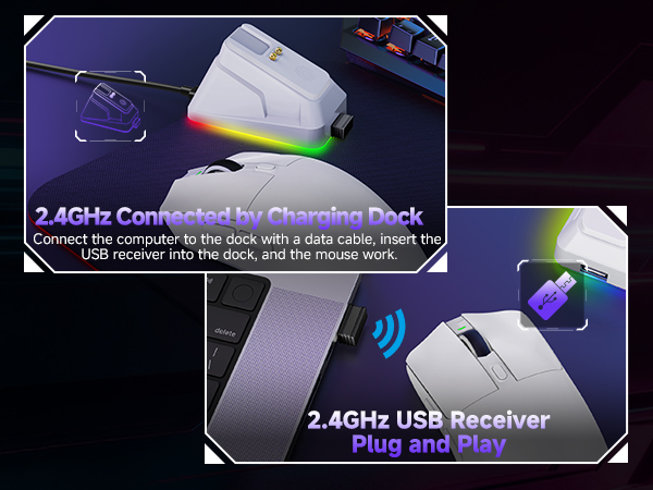 computer mice