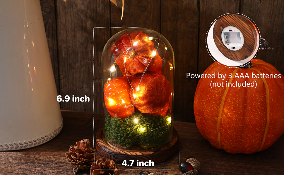 Halloween Thanksgiving Decor